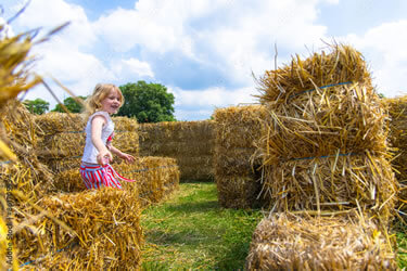 KR farms maze