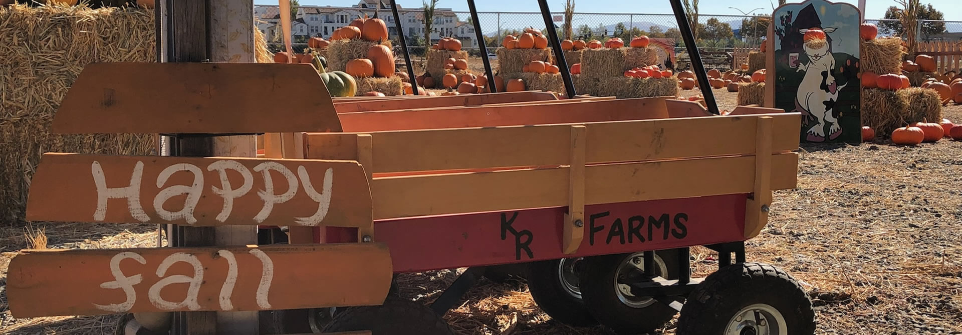 KR farms pumpkin patch