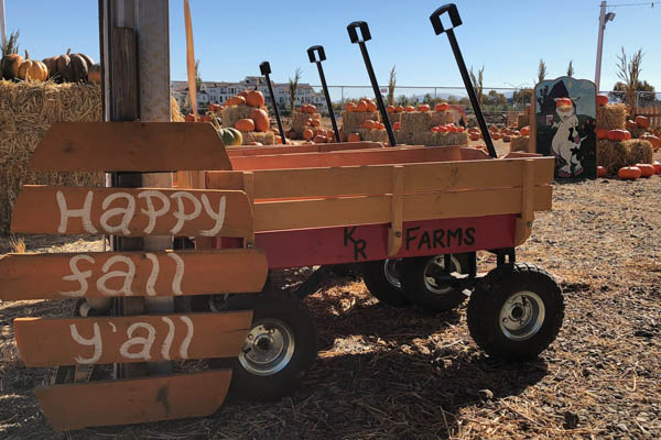 Plan the Perfect Fall Day at K-R Farms Pumpkin Patch