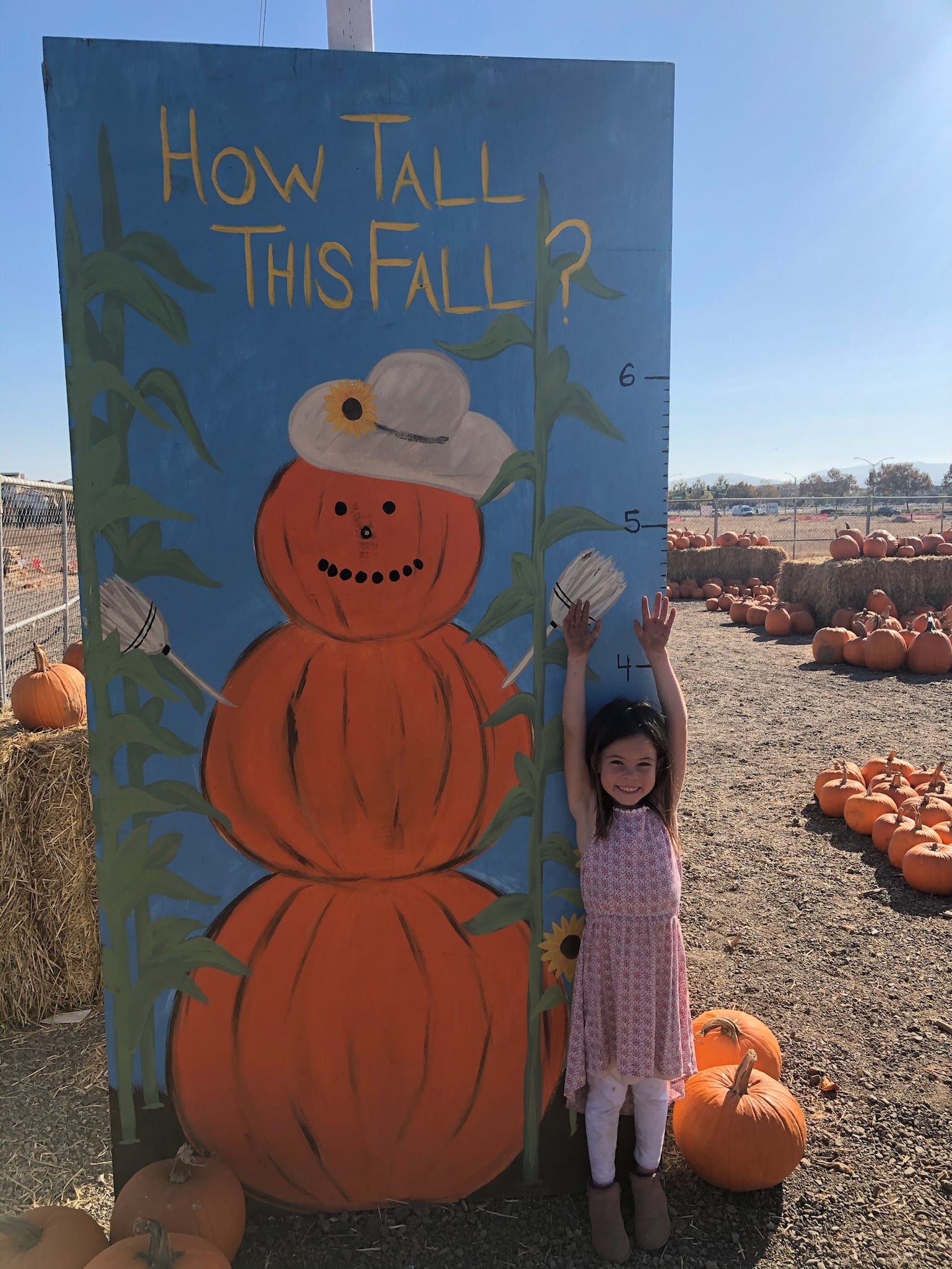 A photo spot in the pumpkin patch at KR Farms