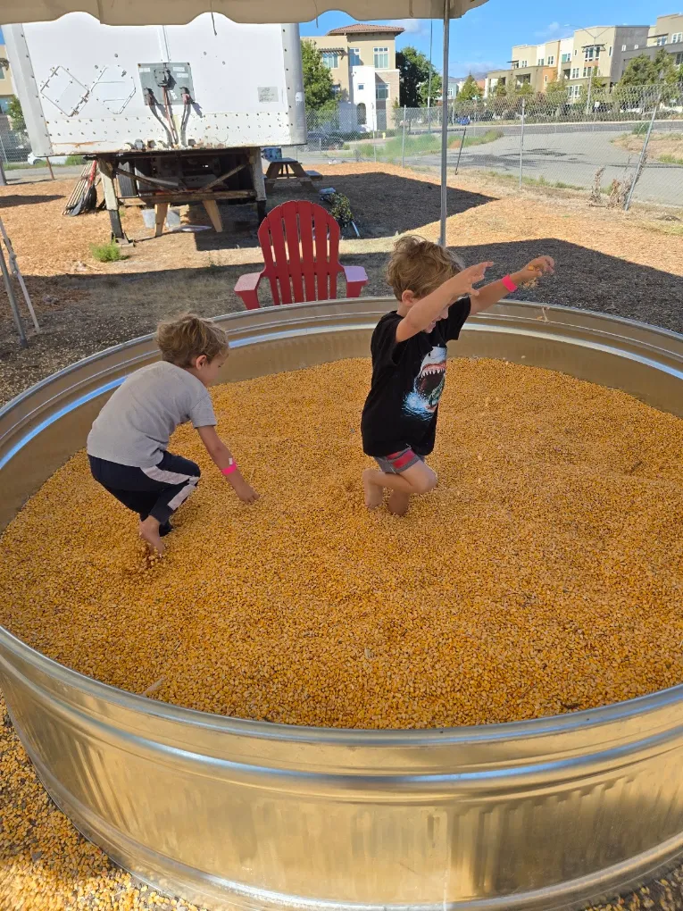 The giant corn pit at KR Farms